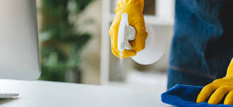 DOMISSANITÁRIOS 2.jpg